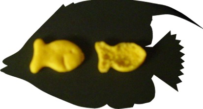 Heeeere fishy, fishy, fishy....